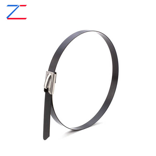 कोटेड स्टेनलेस स्टील केबल टाई क्यों चुनें?